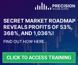PVA Webinar Ad - 300x250