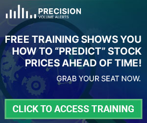PVA Webinar Ad - 300x250