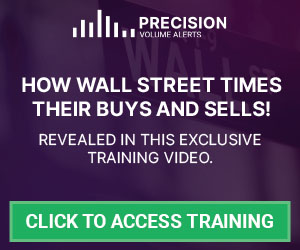 PVA Webinar Ad - 300x250