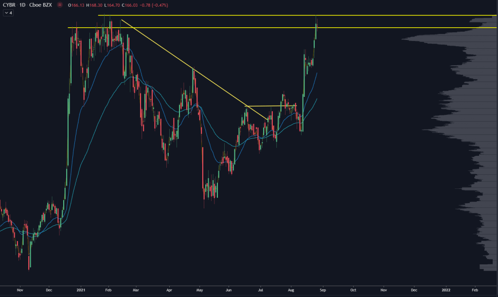 CYBR Stock Chart with price move lines, price levels and volume indicator