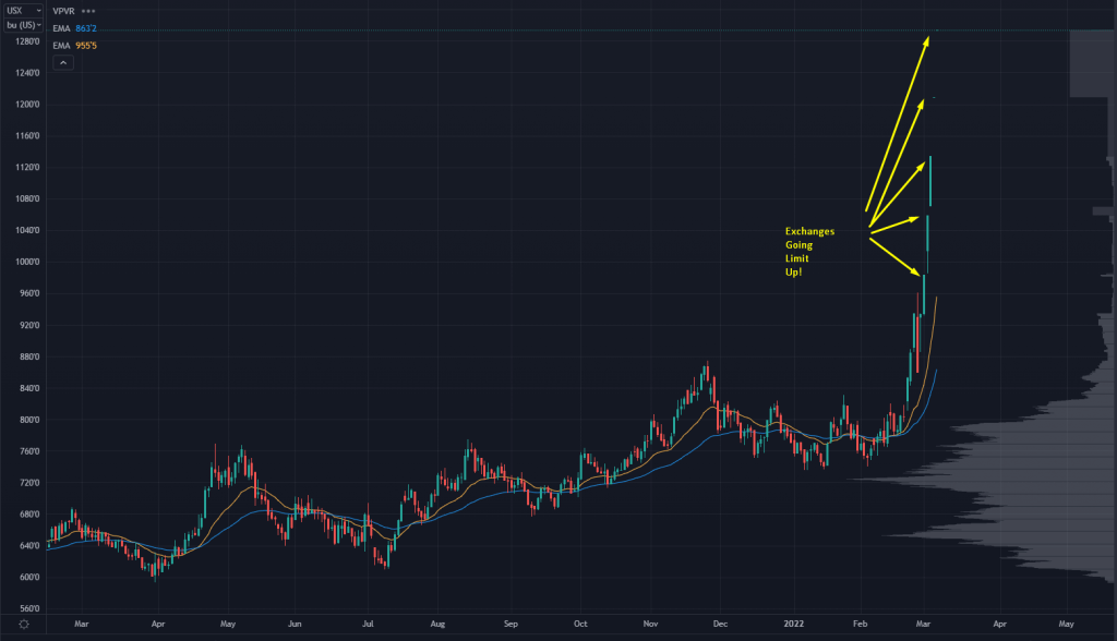 Wheat Futures Chart