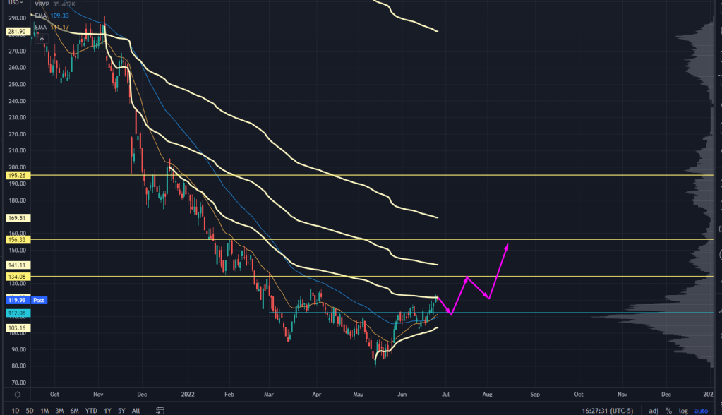 ZM Chart Possible Path